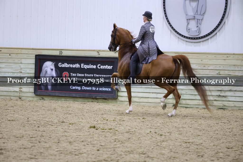 Proof 25BUCKEYE_07958