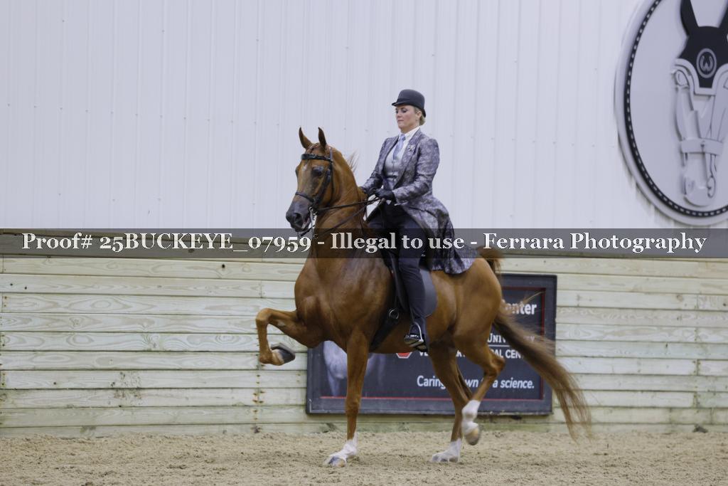 Proof 25BUCKEYE_07959