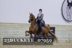 25BUCKEYE_07959 proof
