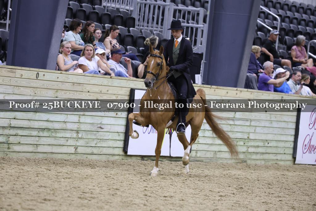 Proof 25BUCKEYE_07960