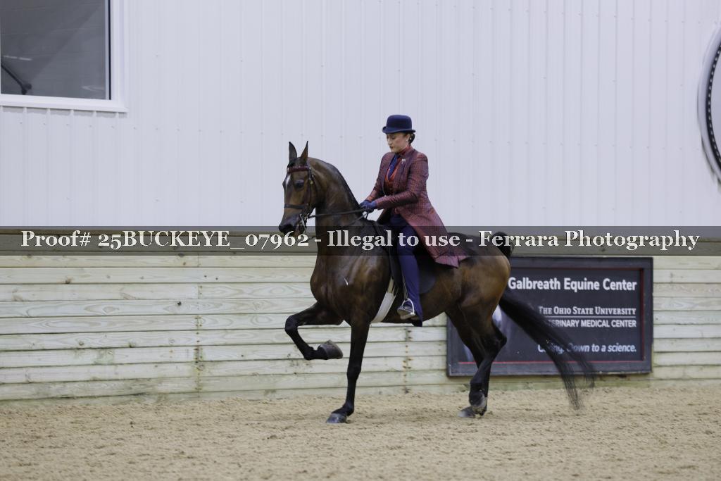 Proof 25BUCKEYE_07962