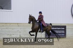 25BUCKEYE_07962 proof