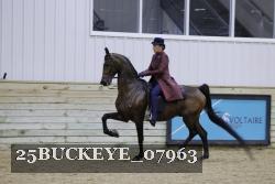 25BUCKEYE_07963 proof