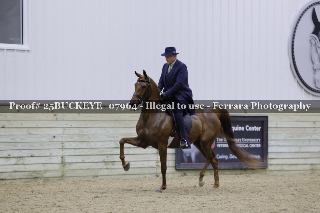 Proof 25BUCKEYE_07964