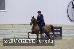 25BUCKEYE_07964 proof