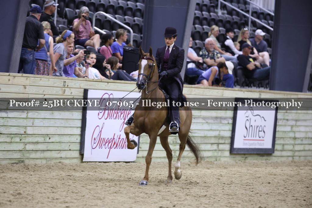 Proof 25BUCKEYE_07965