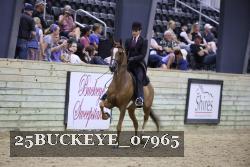 25BUCKEYE_07965 proof
