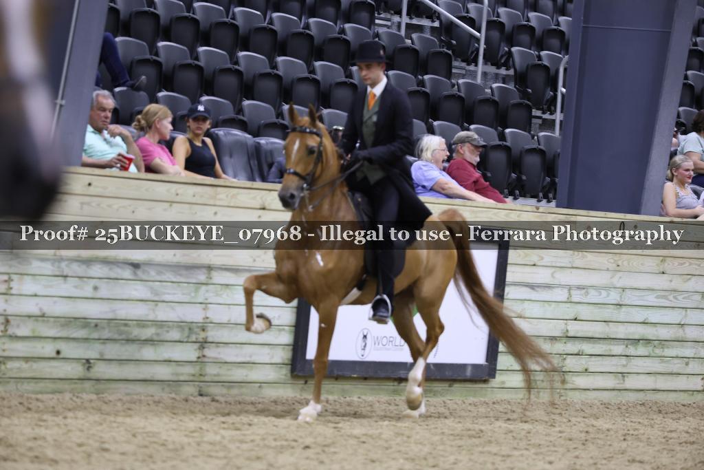 Proof 25BUCKEYE_07968