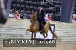 25BUCKEYE_07968 proof