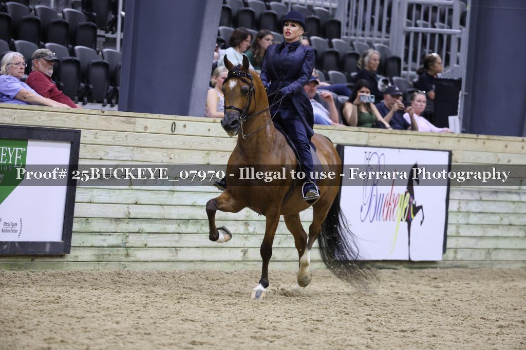 Proof 25BUCKEYE_07970