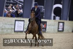 25BUCKEYE_07971 proof