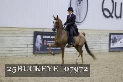 25BUCKEYE_07972 proof