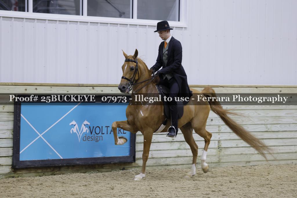 Proof 25BUCKEYE_07973