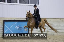 25BUCKEYE_07973 proof