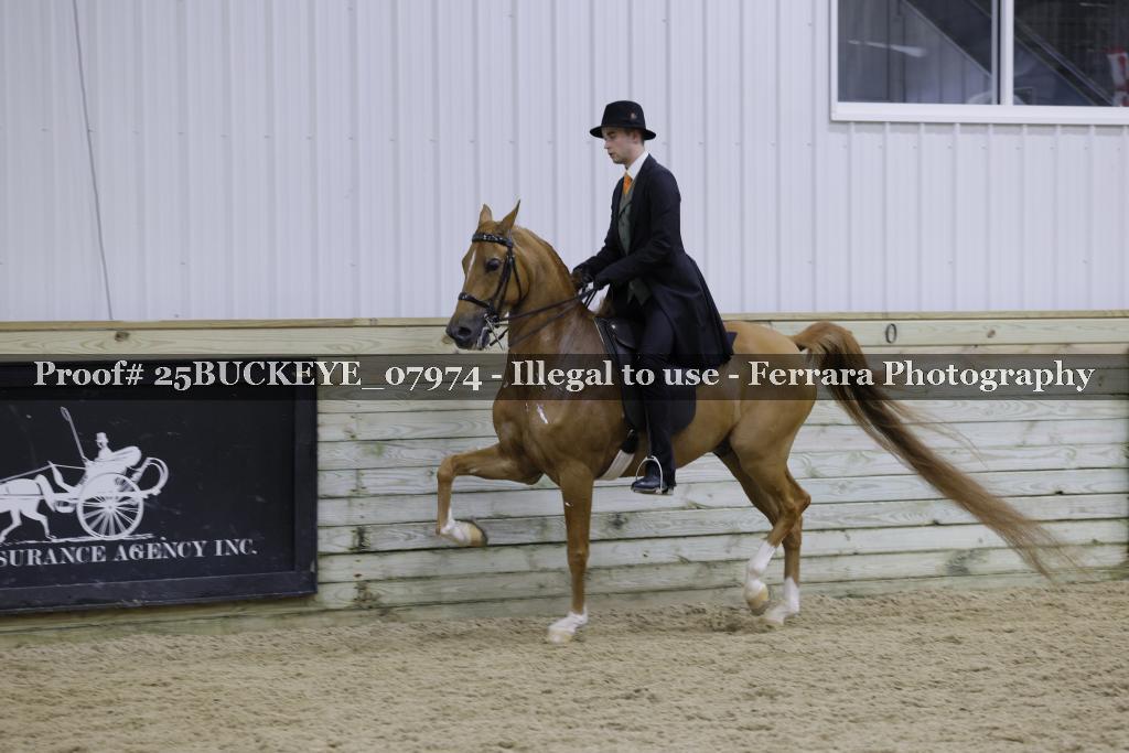 Proof 25BUCKEYE_07974