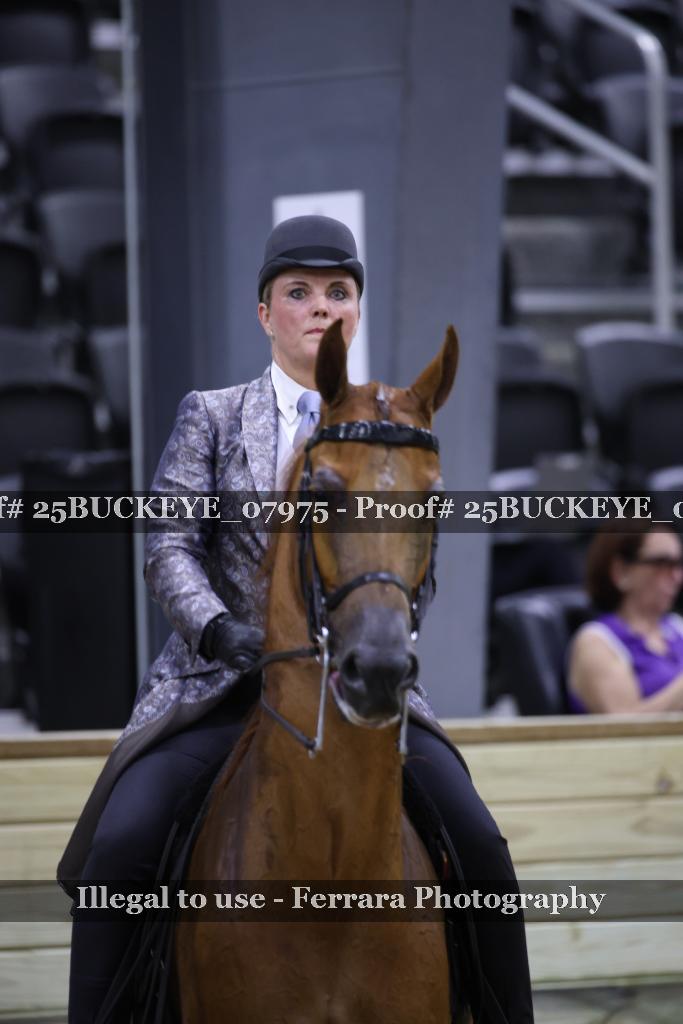 Proof 25BUCKEYE_07975
