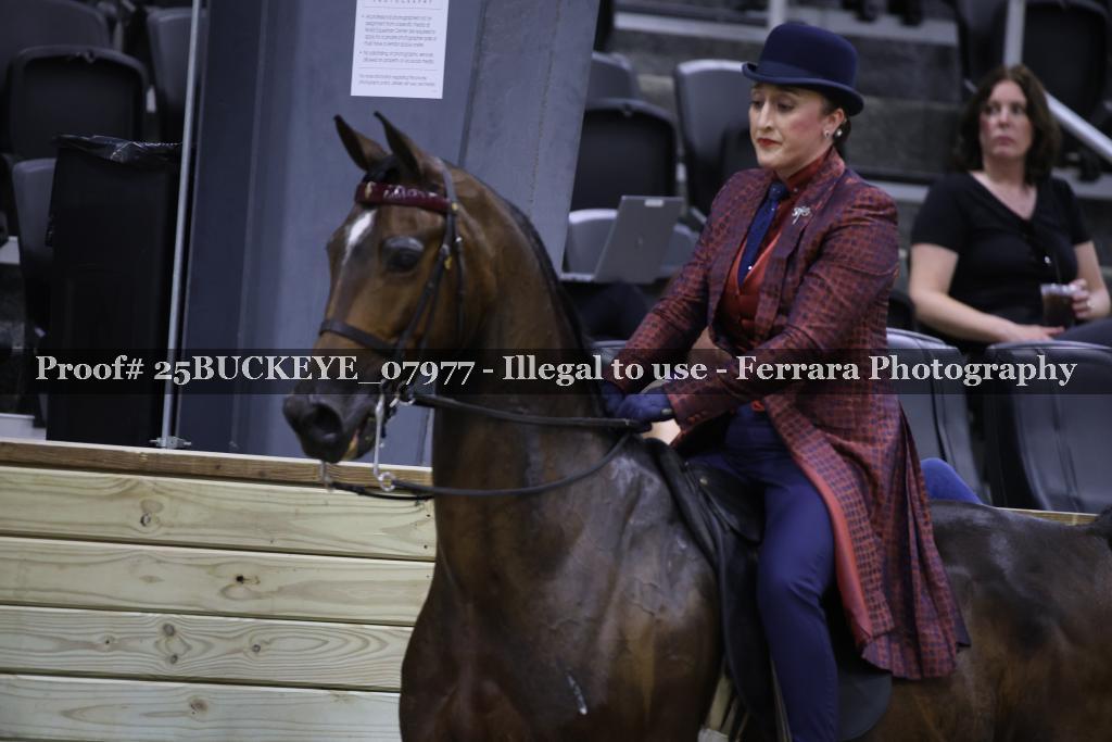Proof 25BUCKEYE_07977