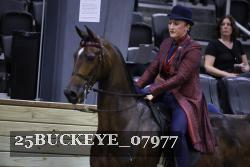 25BUCKEYE_07977 proof