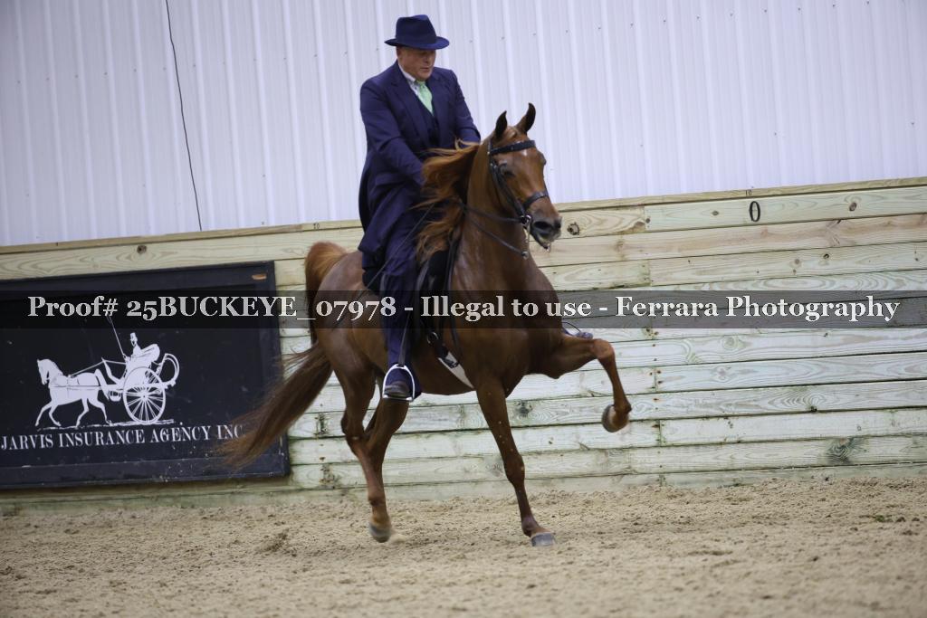 Proof 25BUCKEYE_07978