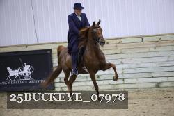 25BUCKEYE_07978 proof