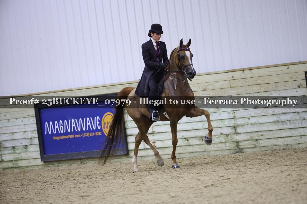 Proof 25BUCKEYE_07979