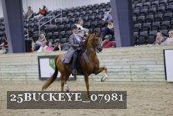 25BUCKEYE_07981 proof