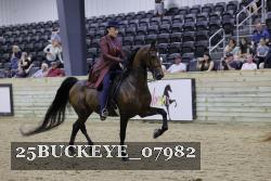 25BUCKEYE_07982 proof