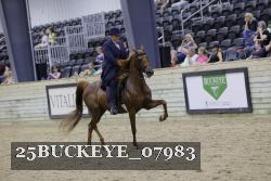 25BUCKEYE_07983 proof