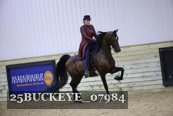 25BUCKEYE_07984 proof