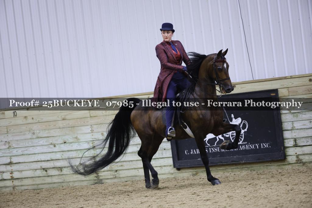 Proof 25BUCKEYE_07985
