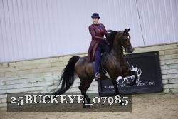 25BUCKEYE_07985 proof
