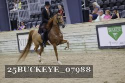 25BUCKEYE_07988 proof