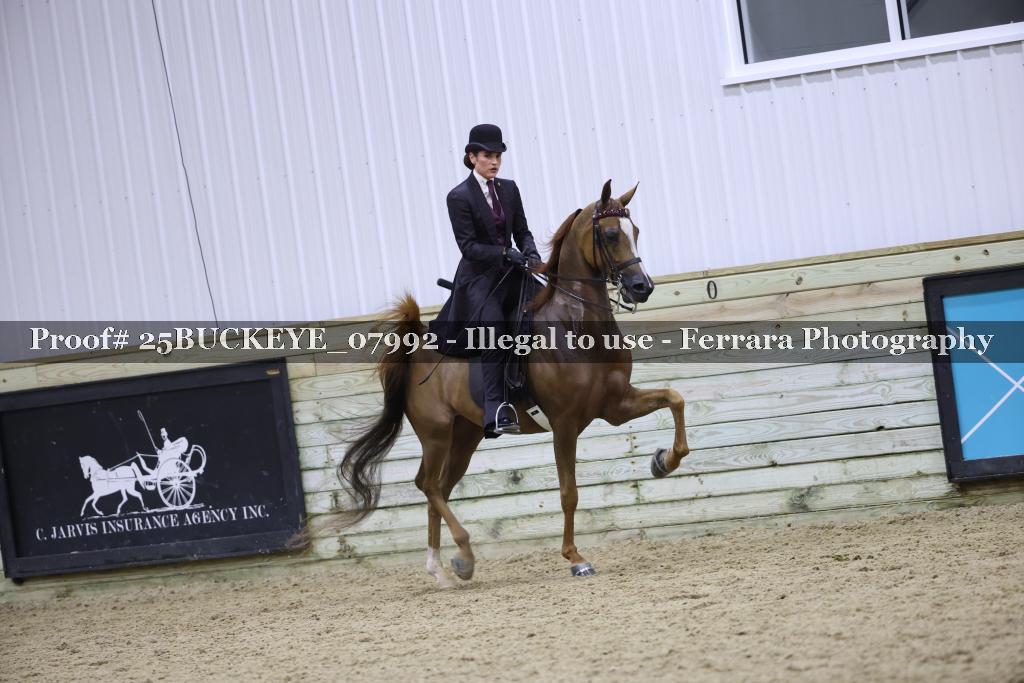 Proof 25BUCKEYE_07992