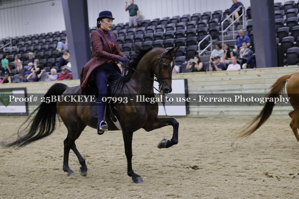 Proof 25BUCKEYE_07993