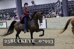25BUCKEYE_07993 proof