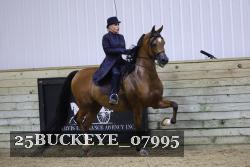 25BUCKEYE_07995 proof