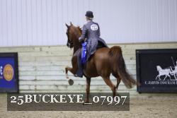 25BUCKEYE_07997 proof