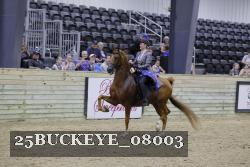 25BUCKEYE_08003 proof