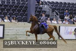 25BUCKEYE_08006 proof