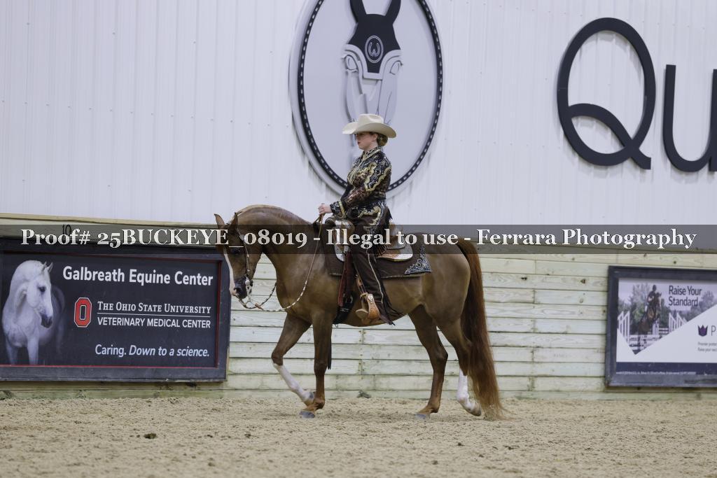 Proof 25BUCKEYE_08019