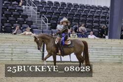 25BUCKEYE_08028 proof