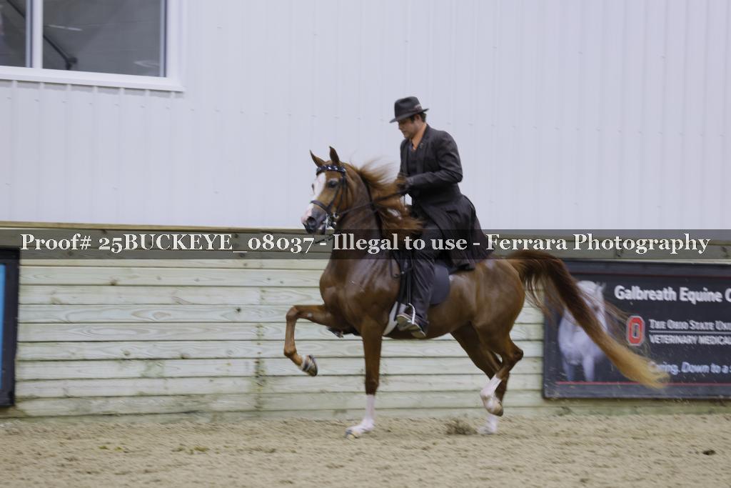 Proof 25BUCKEYE_08037