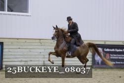 25BUCKEYE_08037 proof