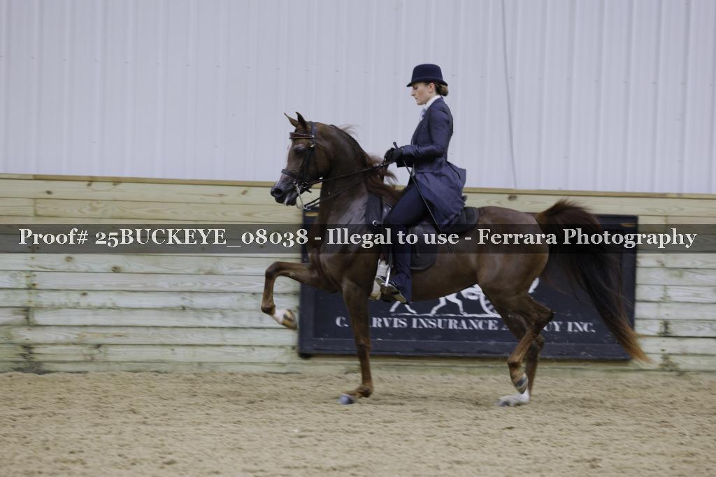 Proof 25BUCKEYE_08038