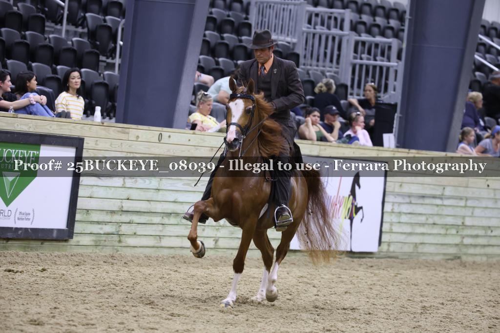 Proof 25BUCKEYE_08039