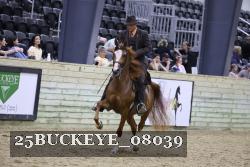 25BUCKEYE_08039 proof