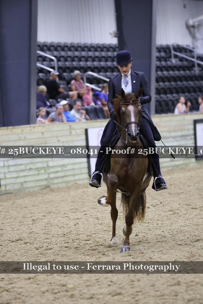 Proof 25BUCKEYE_08041