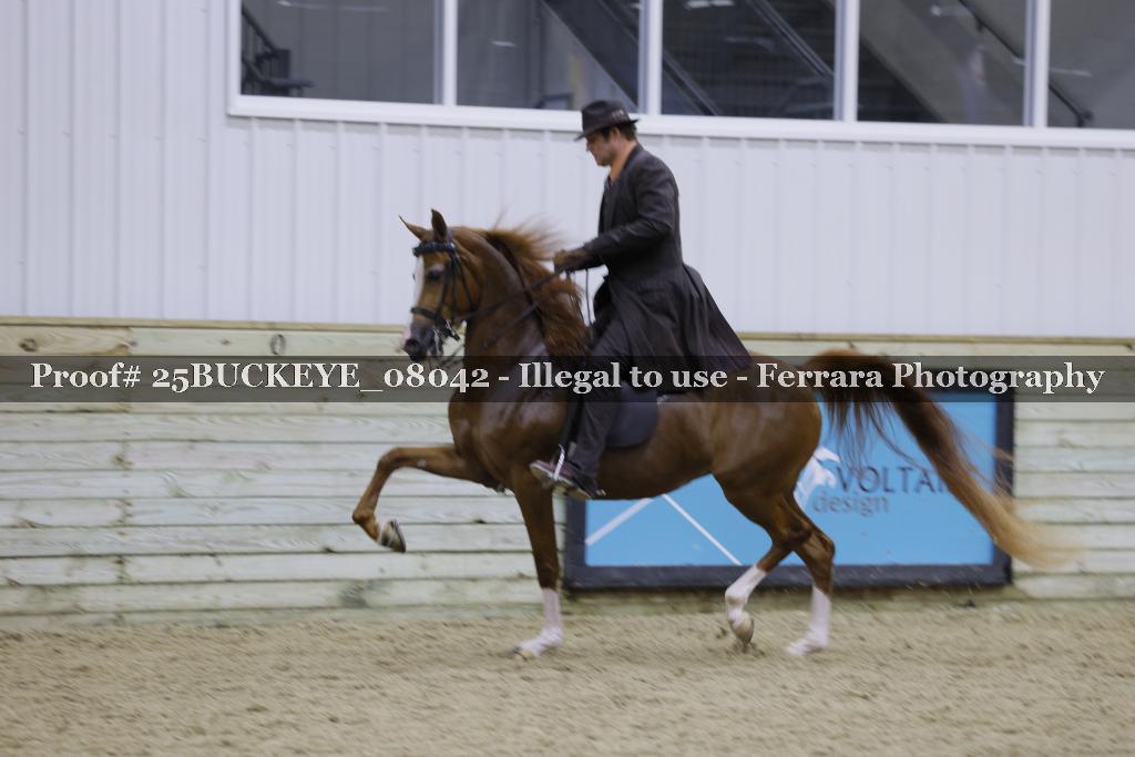Proof 25BUCKEYE_08042