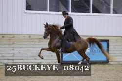 25BUCKEYE_08042 proof