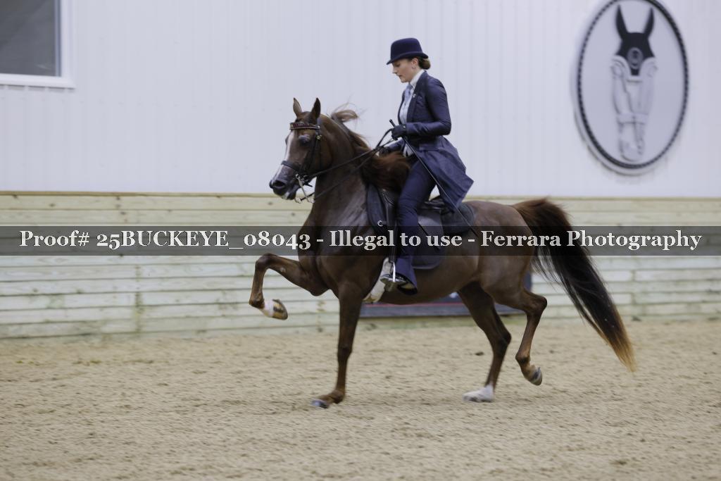 Proof 25BUCKEYE_08043
